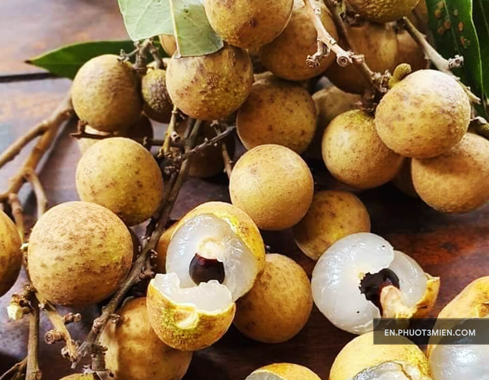 Delicious Longan - Fruits of Vietnam