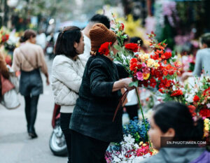 Người phụ nữ chọn hoa tươi tại chợ hoa Tết ở Hà Nội, không khí nhộn nhịp chuẩn bị cho lễ hội.